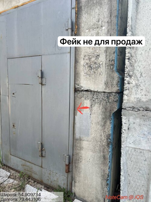 9dV1.jpg