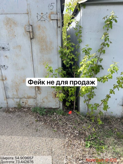 9eLe.jpg
