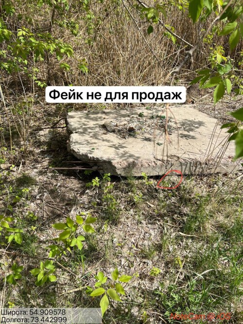 9nlQ.jpg