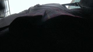 rKkz.gif