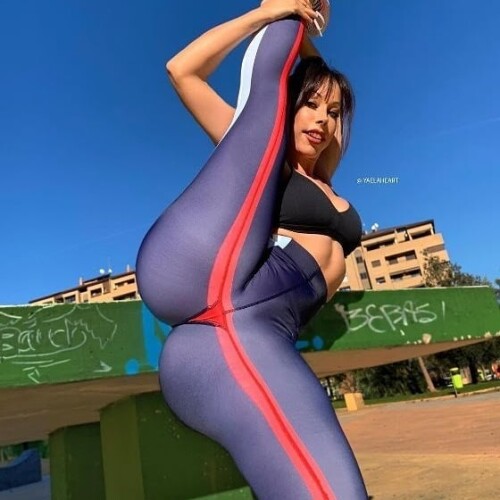 noZL.jpg