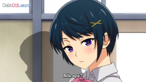 qHCF.png