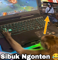 Jftd.png