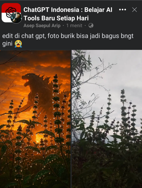 TIEK.png