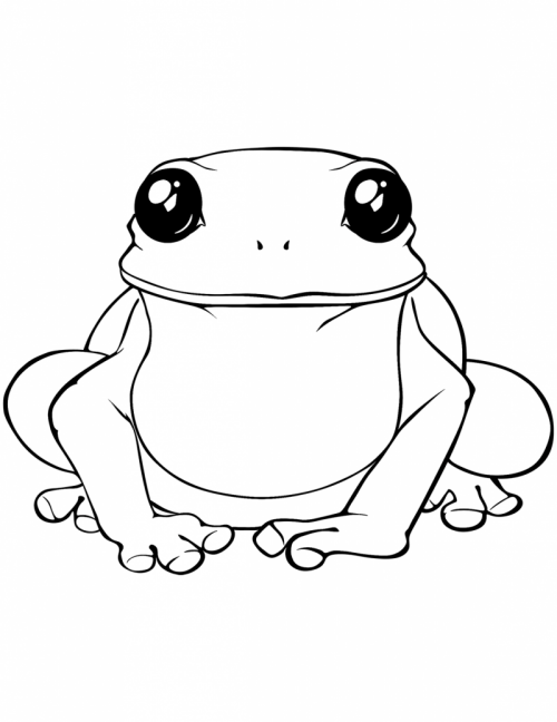 aP5J.png