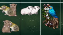 CCjql.png