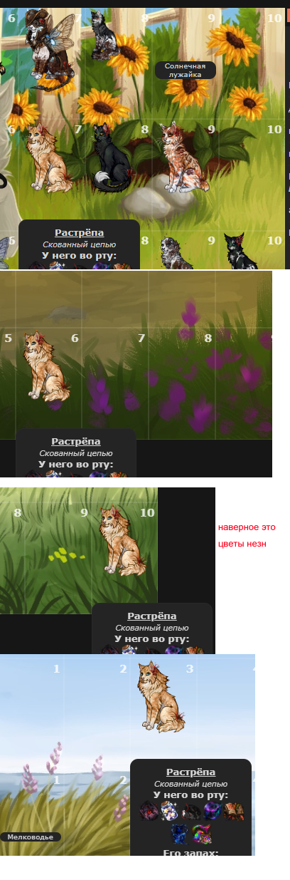 CCvUz.png