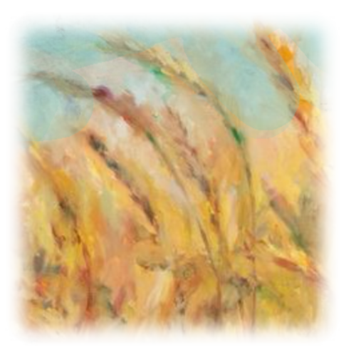 CD15C.png