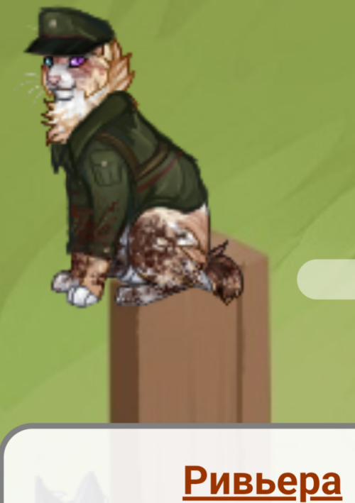 CoCHr.png