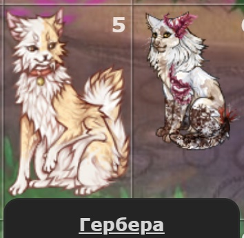 CFCLP.png
