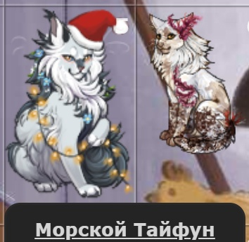 CFCwc.png