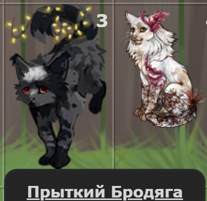 CFD5N.png