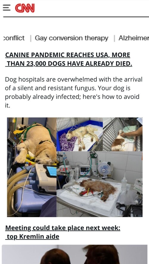 CFY2p.jpg